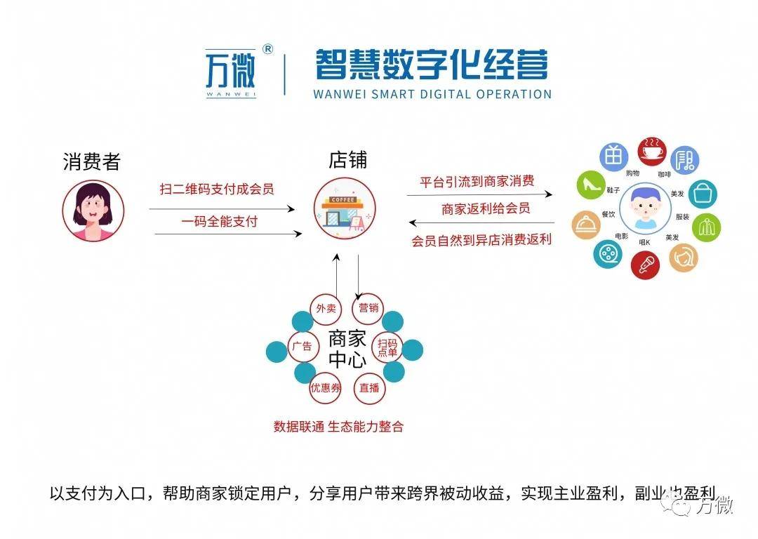 齐中网免费资料网,齐中网免费资料网，教育资源共享的新时代平台