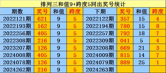 澳门一码一肖100准王中王,澳门一码一肖与犯罪问题探讨