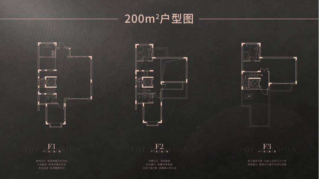 2025年1月5日 第43页