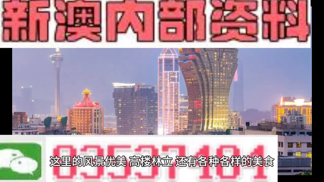 2024新澳资料免费精准051,探索未来，2024新澳资料免费精准051的全方位解读