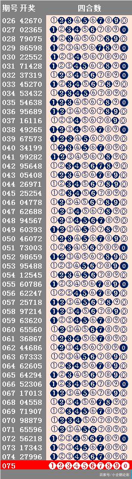 4949最快开奖资料4949,揭秘4949最快开奖资料，探索数字世界的神秘面纱