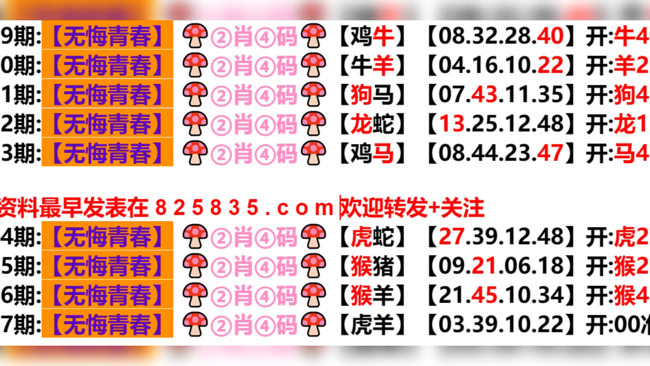 2024新澳门天天开好彩大全孔的五伏,新澳门天天开好彩大全孔的五伏，探索与期待