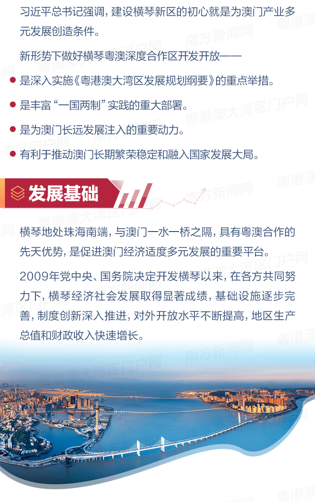 澳门天天开好彩大全65期,澳门天天开好彩大全深度解析，第65期展望与回顾