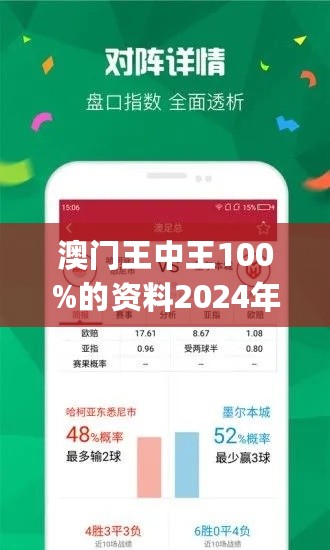 2024香港王中王,2024香港王中王，期待与展望