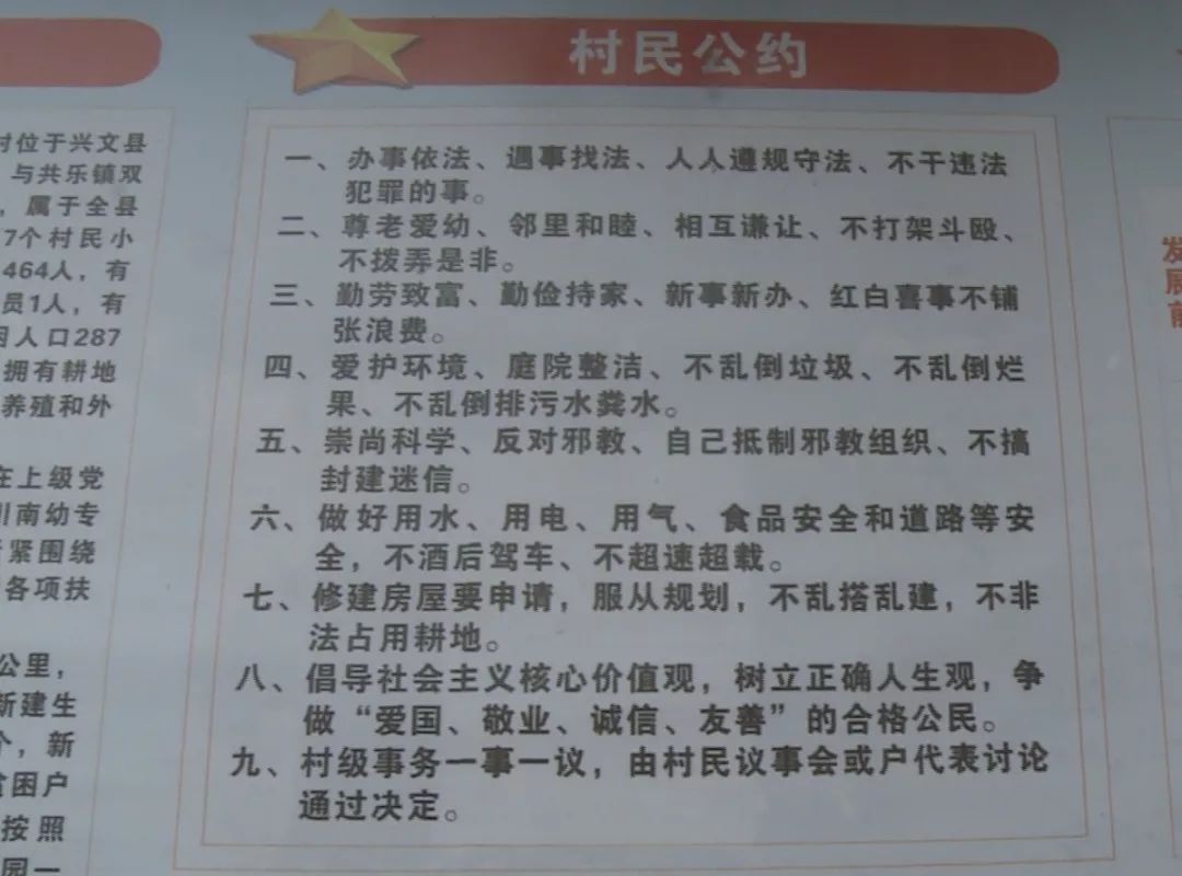 最准一肖100%准确精准的含义,揭秘最准一肖，探寻百分之百准确精准的真谛