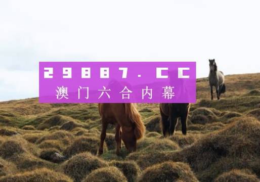 新奥门开奖结果 开奖结果,新澳门开奖结果及其影响